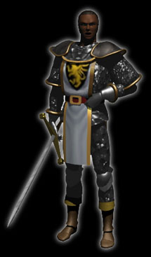 Official Paladin Picture
